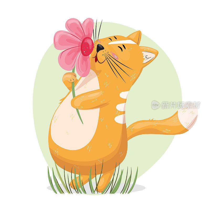 可爱的小猫在享受春天的大花。