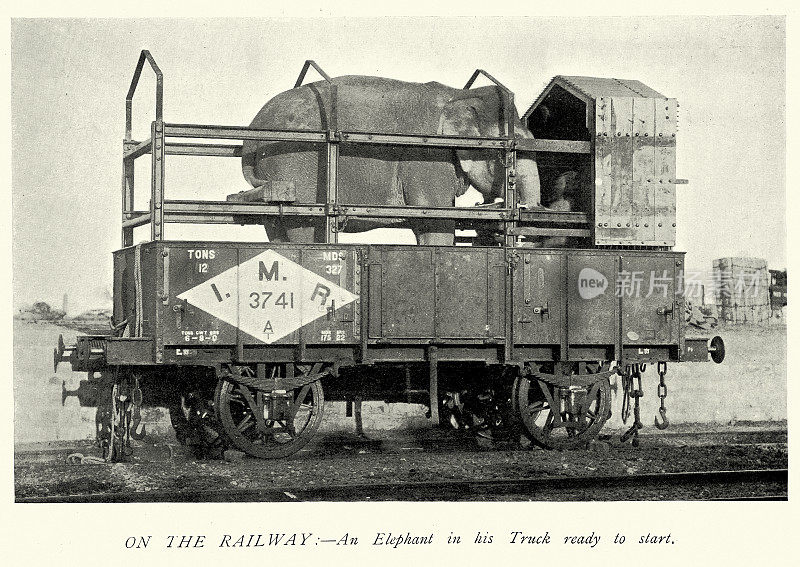 用火车运输的英属印度军队的大象，维多利亚时代，军事历史19世纪90年代