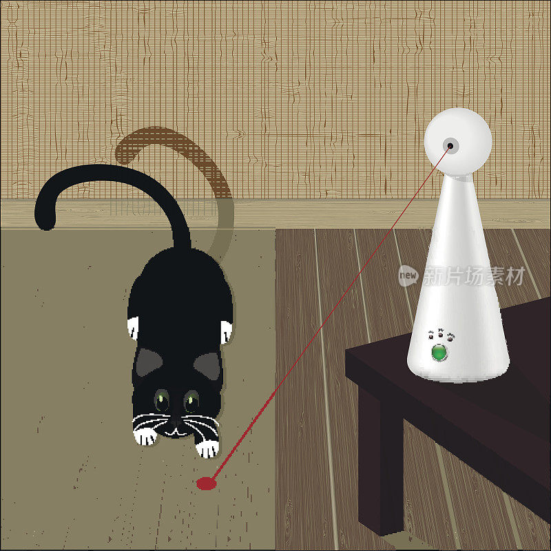 互动激光玩具的猫和猫在地板上