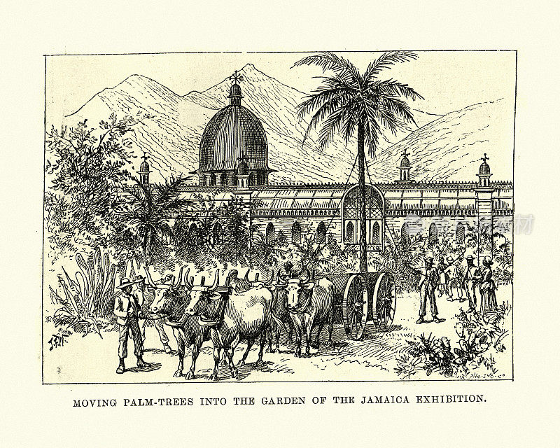 牙买加国际展览花园(1891年