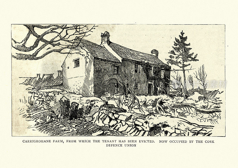 爱尔兰农家，卡里格罗哈尼，克里县，19世纪