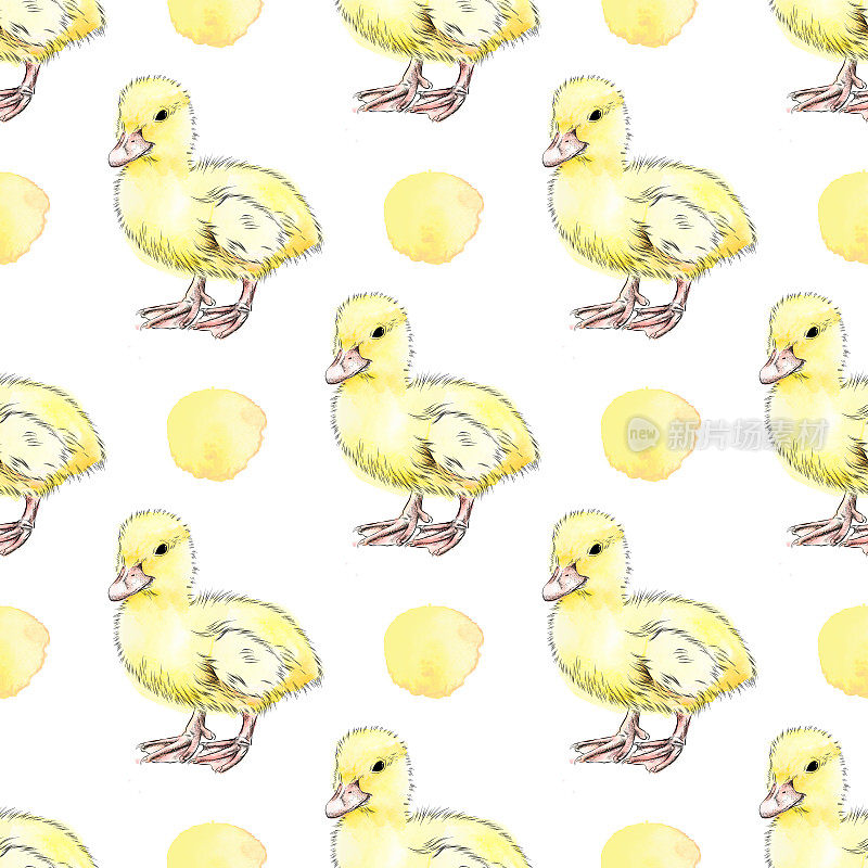 鸭子背景-墨水和水彩无缝图案-矢量EPS10插图