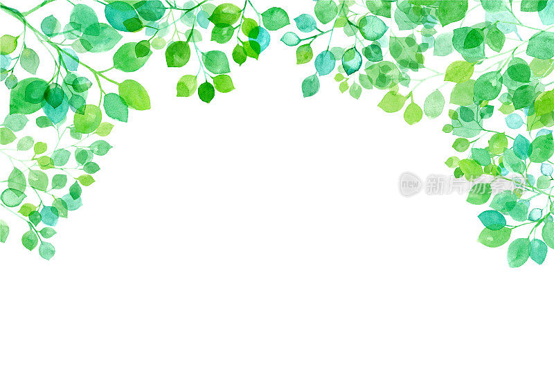这是一幅水彩画，画的是阳光下嫩绿的枝叶。框架装饰。水彩跟踪向量。(可调整布局)