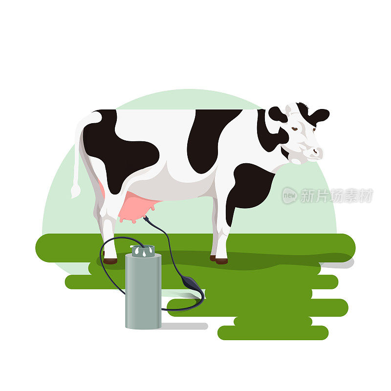 矢量插图挤奶在草地上的奶牛和牛奶溢出的罐子。