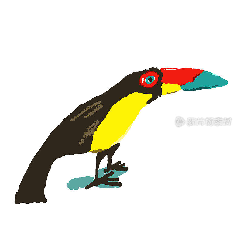 巨嘴鸟像小孩在白色上手绘的艺术品。长着大嘴巴的黑色野鸟。