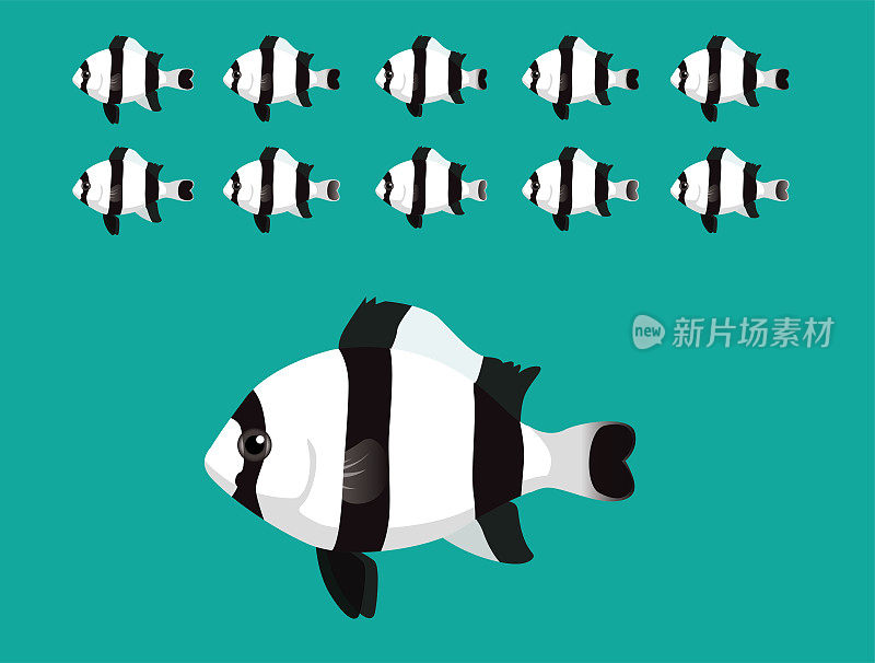 动物动画序列四条纹小热带鱼游泳卡通向量
