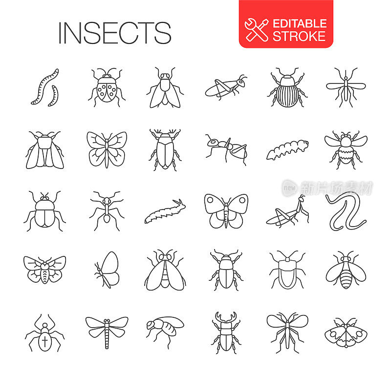 昆虫图标设置可编辑的笔画