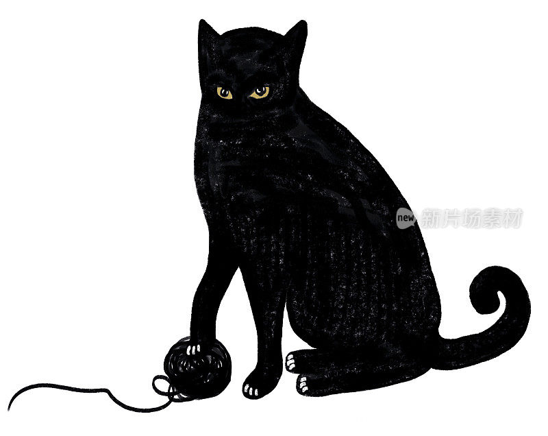 黑猫-插图