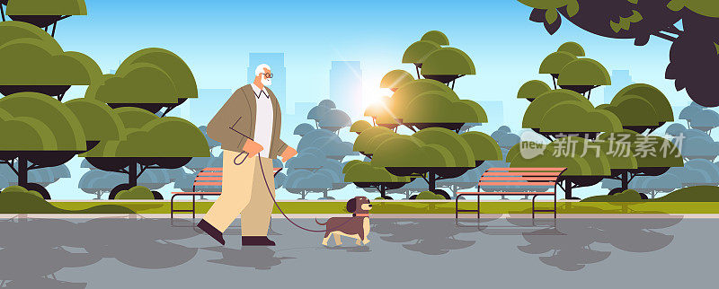 一个活跃的老人在公园里散步，他的小狗爷爷和他的宠物在城市公园里放松