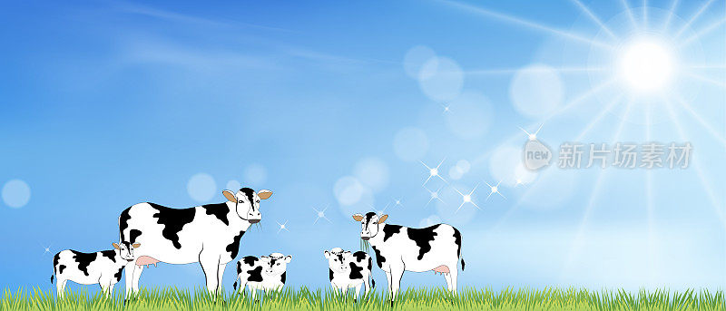农业，动物，背景，蓝色，卡通，牛，云，复制空间，国家，乡村，奶牛，奶牛，吃，经济，环境，农场，农场动物，农场生活，农场，农田，农场，庭院，田野，花园，草地，草地，草地，放牧，gr