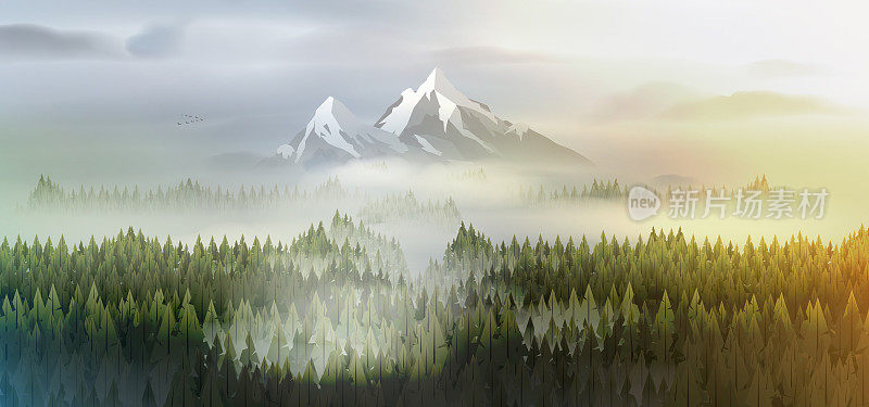 云雾中的松林山