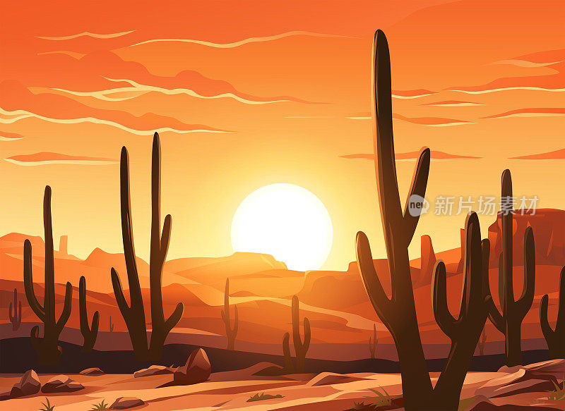 美丽的沙漠日落