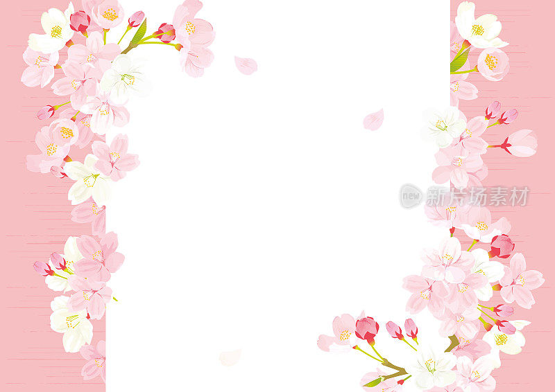 樱花背景的矢量插图