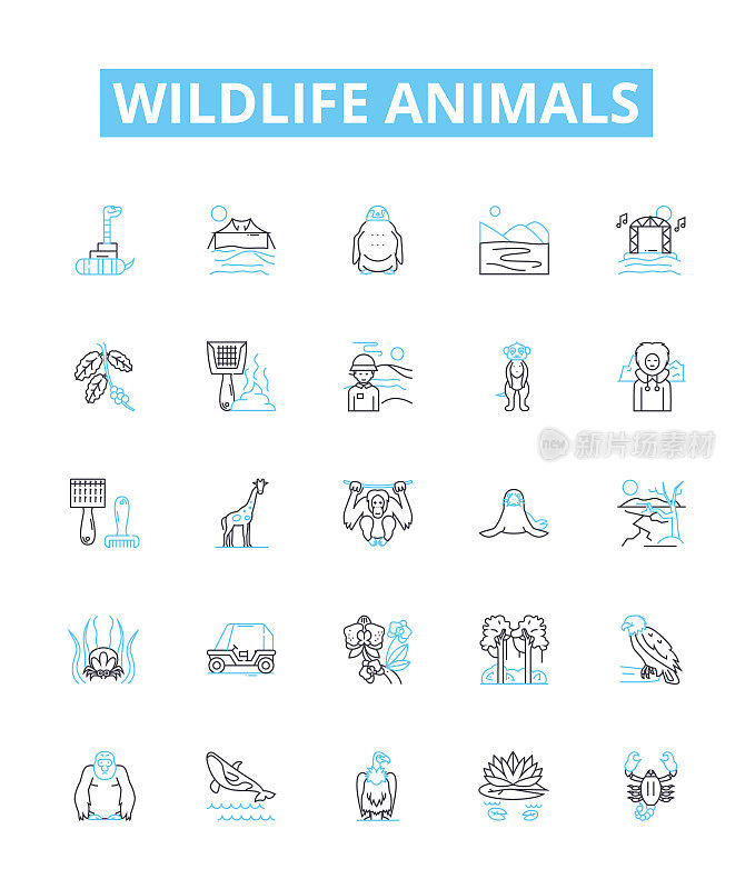 野生动物矢量线图标集。动物，野生动物，动物群，哺乳动物，鸟类，爬行动物，鱼类插图概述概念符号和标志