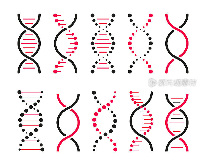 一组DNA图标。生命基因模型生物密码遗传学分子医学符号。结构分子，染色体图标。元素DNA的矢量集