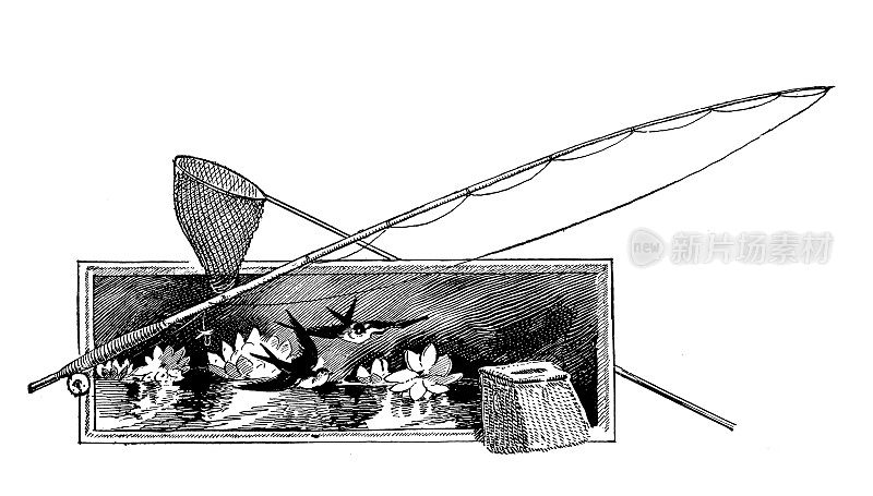 1897年的运动和消遣:钓鱼