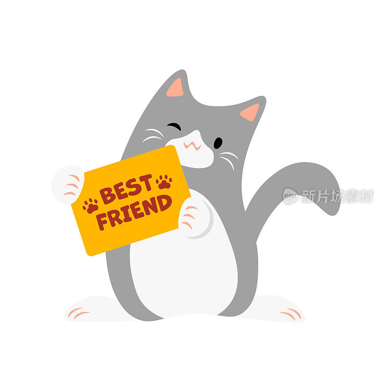 最好的朋友,可爱的猫。