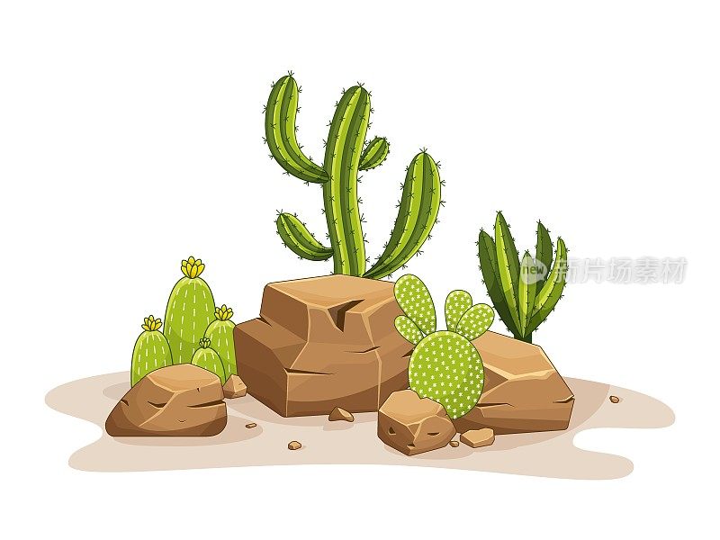 仙人掌带着刺和石头。墨西哥绿色植物，有刺和岩石。沙漠和南部景观的元素。卡通平面矢量插图。孤立在白色背景上