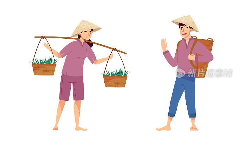 在农场工作的亚洲农民。农民在草帽种植和收获水稻和茶叶的田野卡通矢量插图