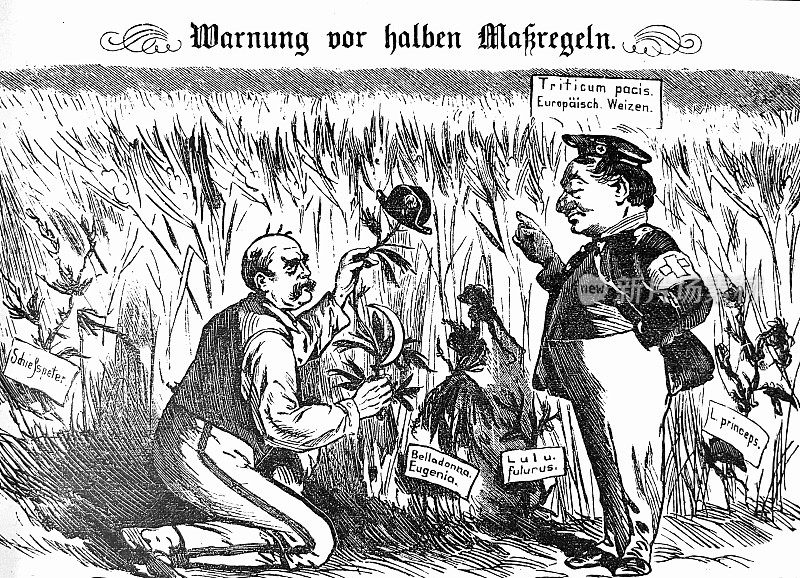 警告俾斯麦:法国的杂草必须彻底铲除，简单的修剪是没有用的