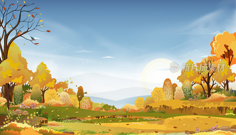 秋天的乡村景观在傍晚的光线与日落，蓝色和粉红色的天空背景，矢量卡通秋天的乡村与森林树木和草地与日出，背景横幅为秋天
