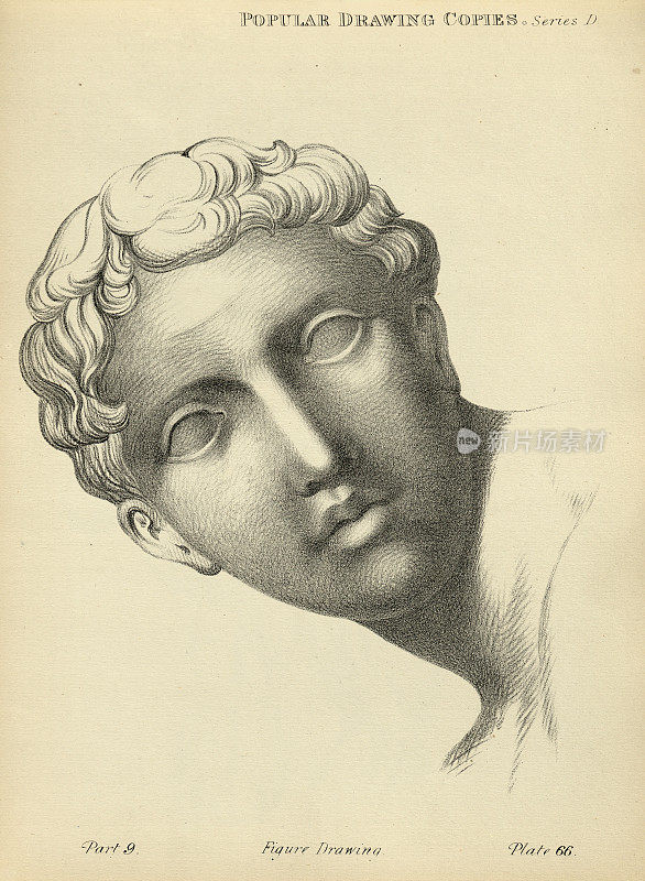 素描人的面孔，古典的青年，维多利亚艺术人物的复制19世纪
