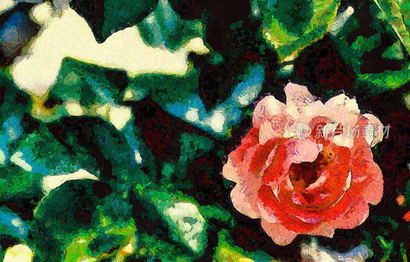 油画——盛开的玫瑰。现代数字艺术，印象派手法。模仿文森特·梵高的风格