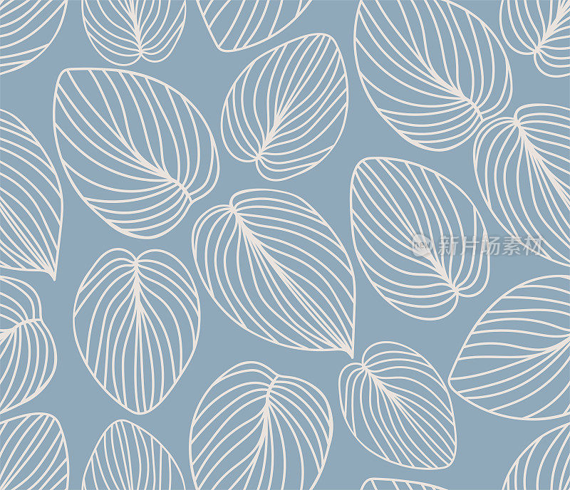 玉簪属草本植物叶子的模式。装饰艺术蓝色和米色装饰背景。室内装饰设计。