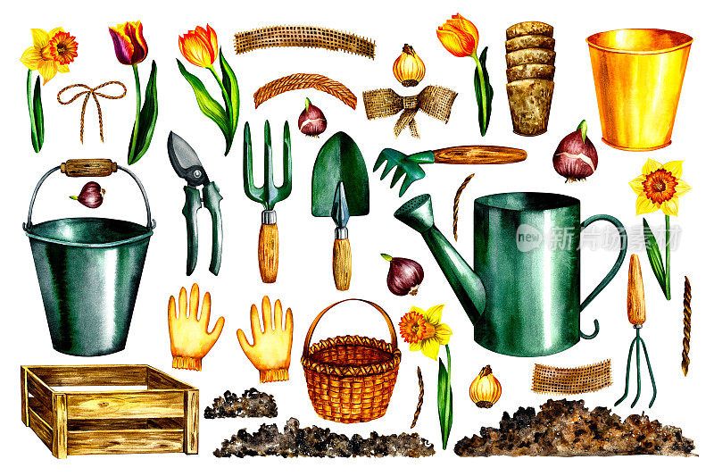 花园集合。园丁的工具。水彩插图。园艺设计解决方案。泥炭杯，土花球