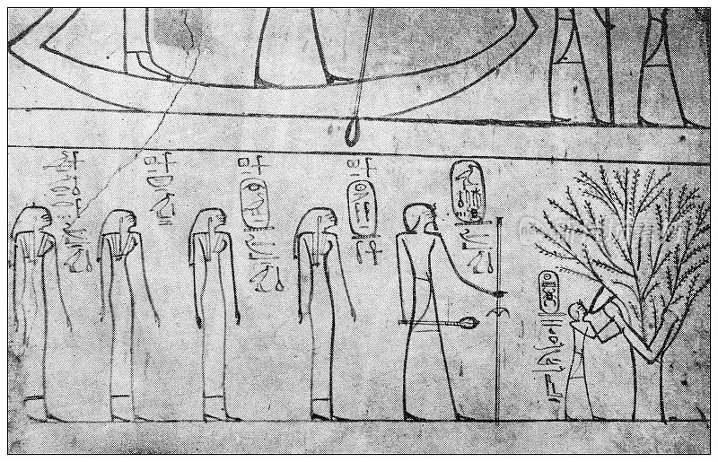古玩图片:图特摩斯三世墓，比班·穆鲁克，帝王谷，底比斯