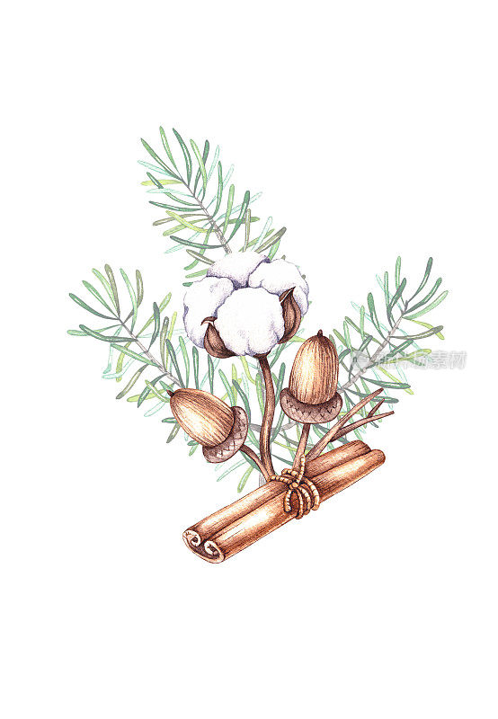 水彩圣诞花束与棉花，针，肉桂，橡子