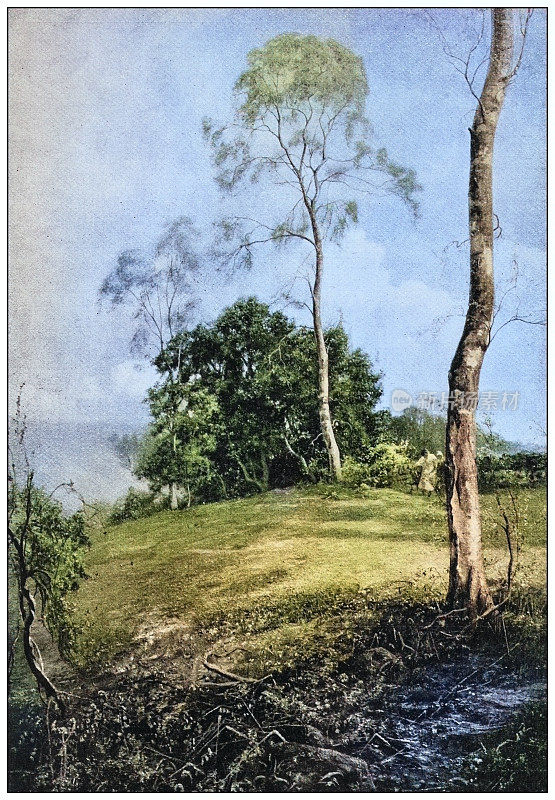 古董绘画照片:风景