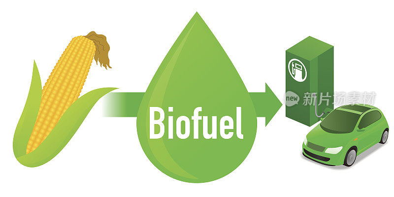 生物燃料:由玉米制成的生物燃料乙醇，图示