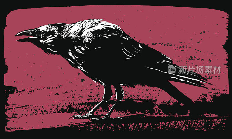 乌鸦插图在grunge风格