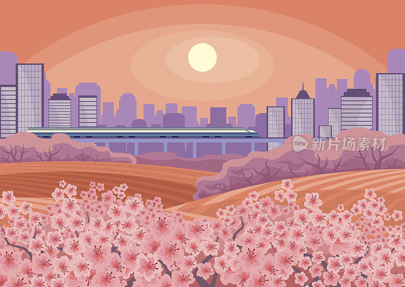 樱花和城市