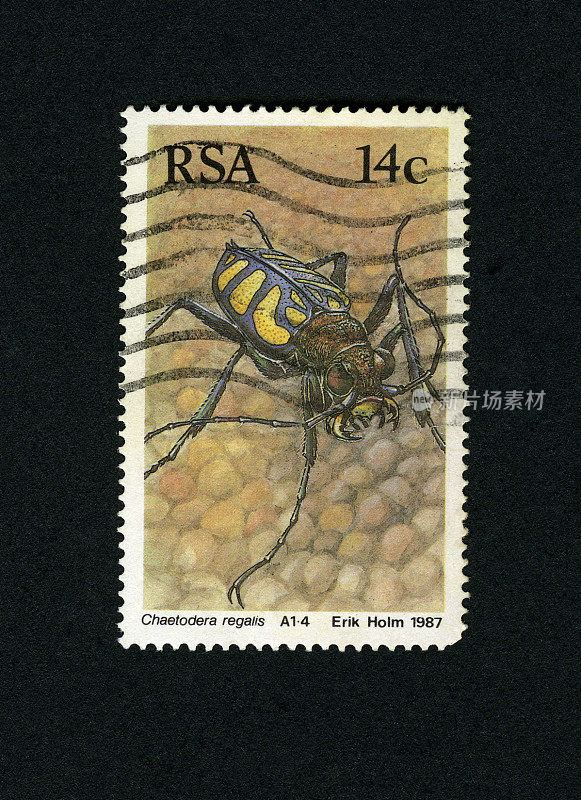 邮票:南非地龟甲