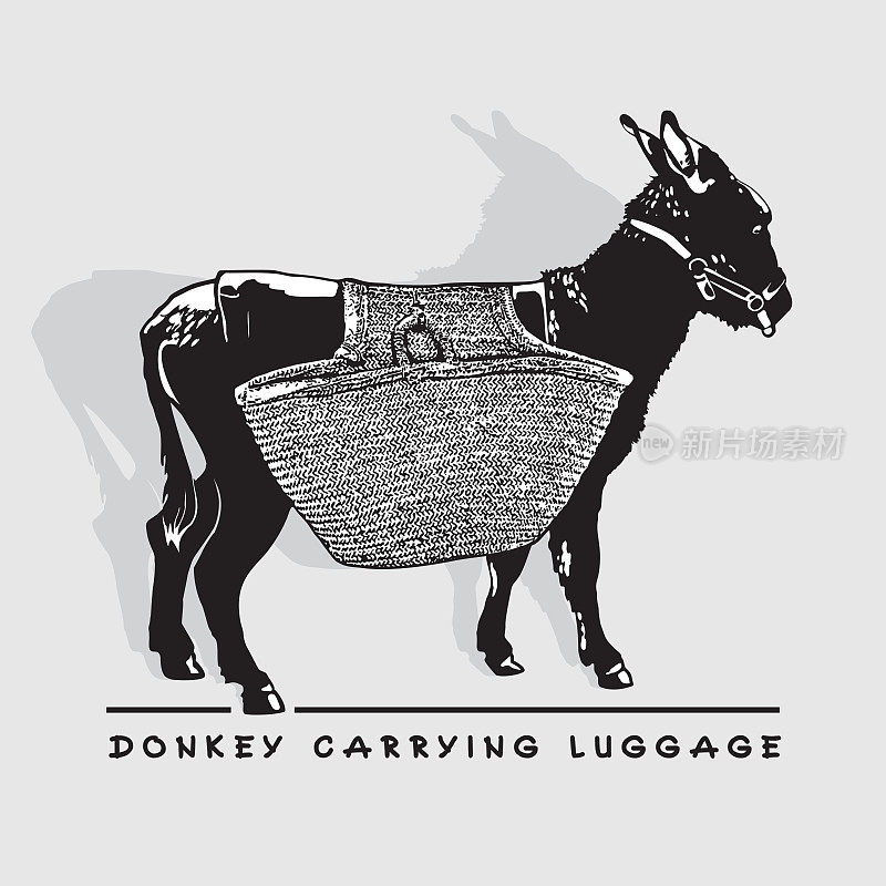 驮着行李的驴子侧观。