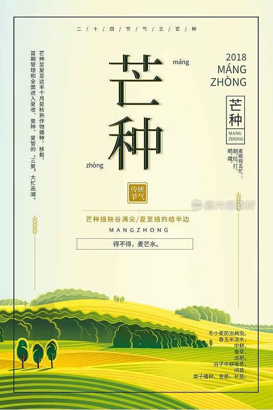 手绘芒种24节气节日海报