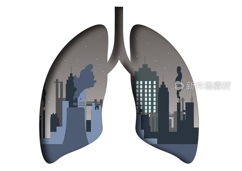 受空气污染影响的肺部轮廓