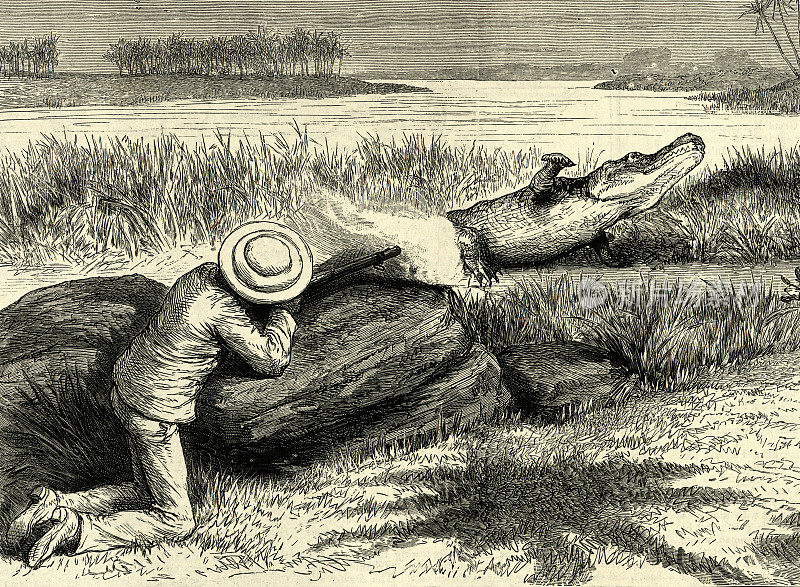 猎人射杀一个吃鳄鱼的人，锡兰，1888年，19世纪