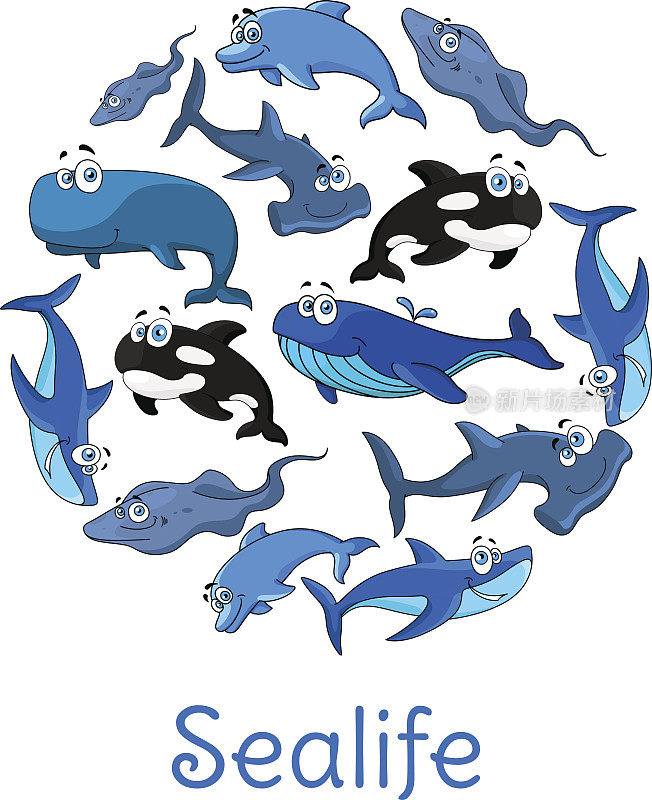 海生物海报与矢量海和海洋鱼类