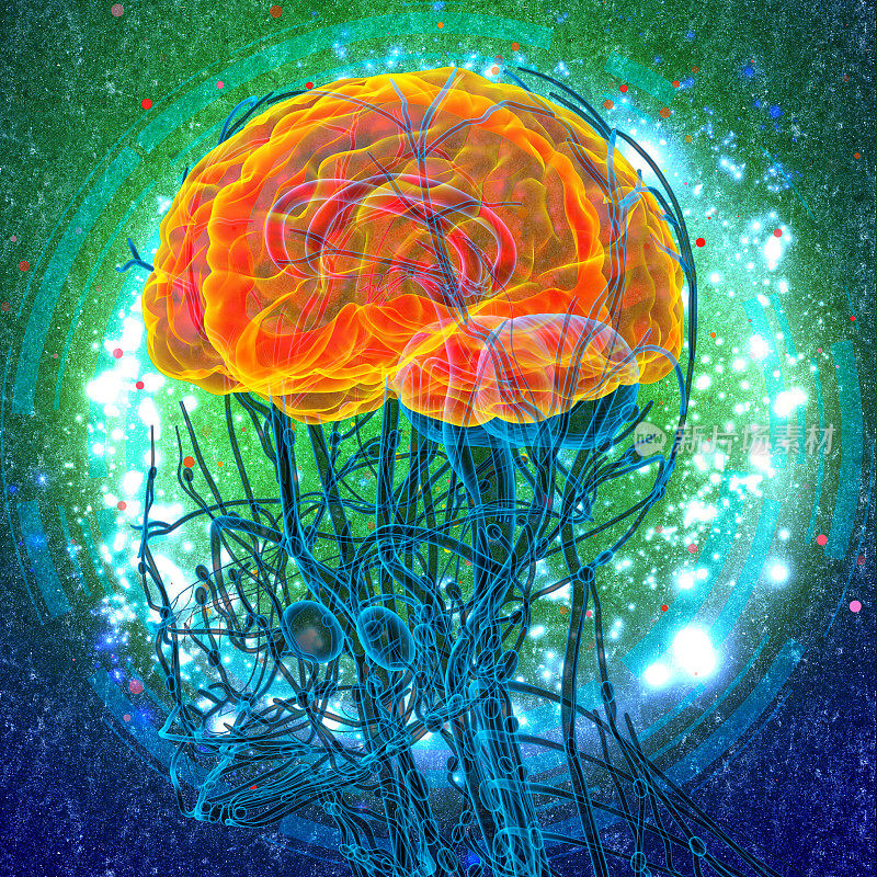 3d渲染人体大脑的医学插图