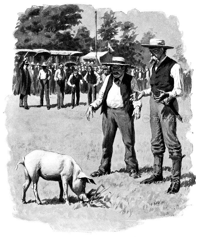 在县集市上看猪的人――19世纪