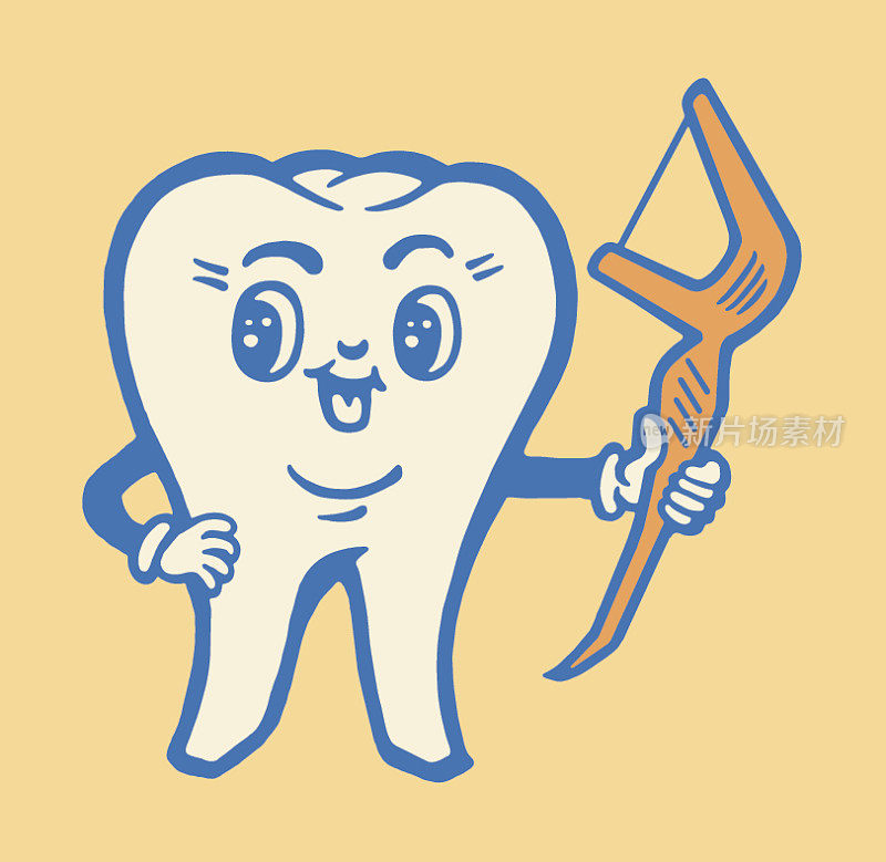 臼齿特征和牙线
