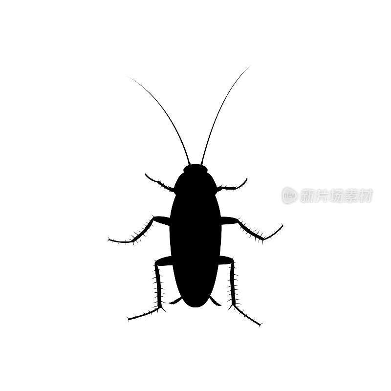 蟑螂昆虫图标孤立在白色背景，害虫昆虫剪影顶部视图。扁体寄生虫污染，蟑螂病媒插图