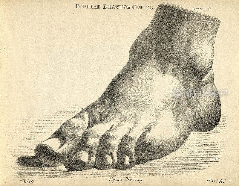 双脚平立写生，仿照19世纪维多利亚时代的人物画