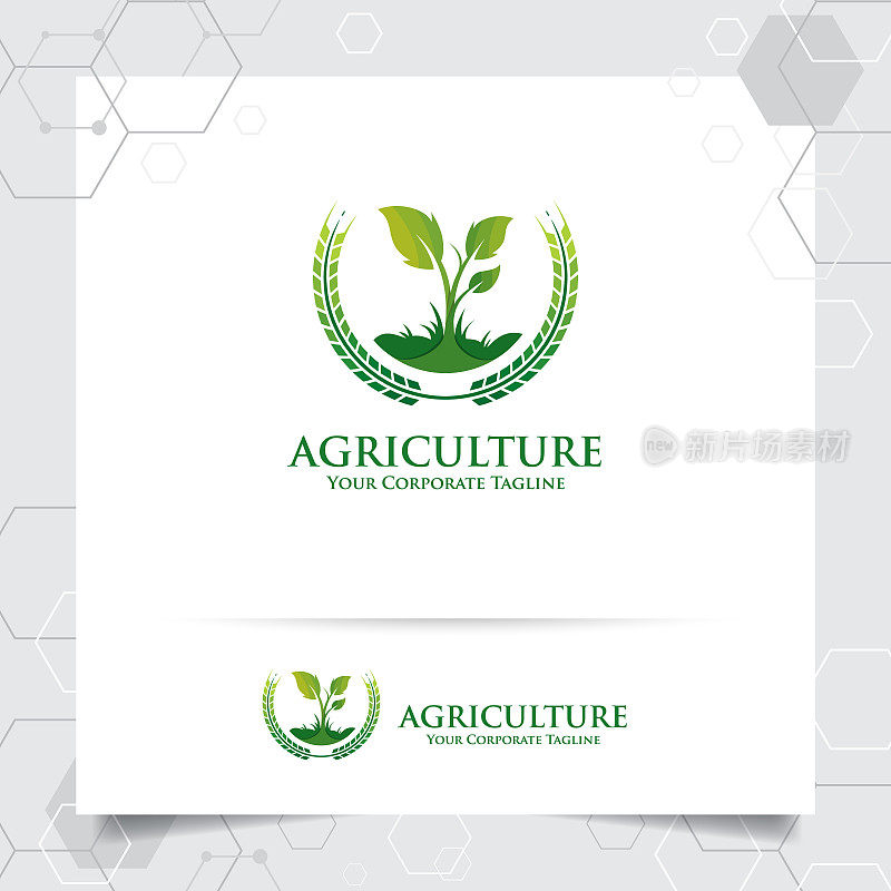 农业图标设计与粮食图标和植物叶片矢量的概念。绿色自然图标，用于农业系统，农民和种植产品。