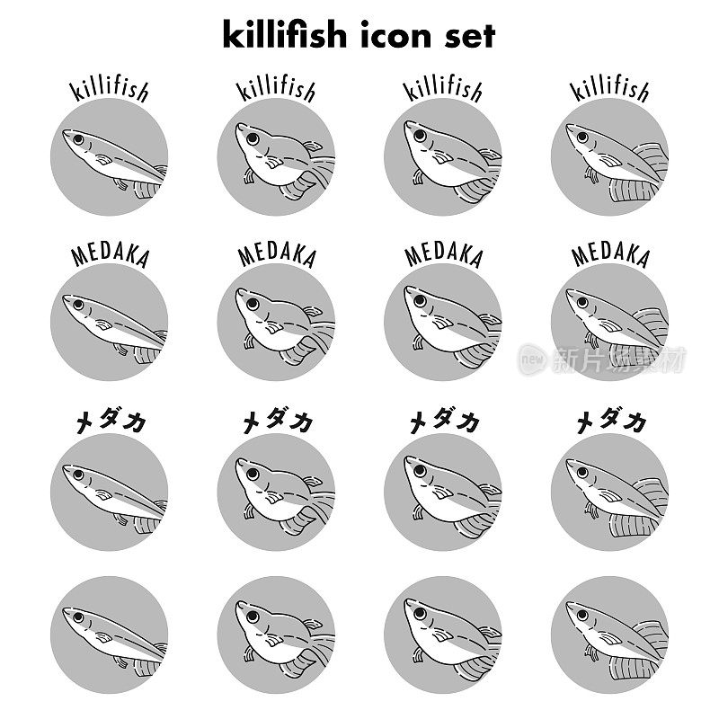 Killifish图标套装(黑白)