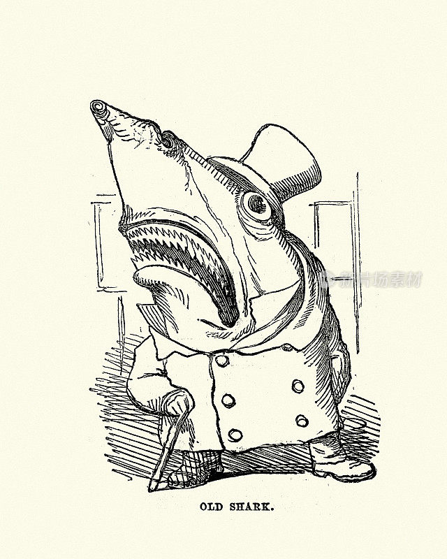 老鲨鱼，维多利亚漫画拟人化插图