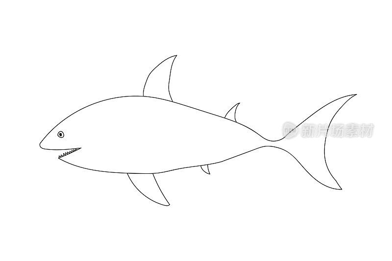 涂鸦鲨鱼线插图